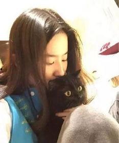 吃瓜娱乐圈刘亦菲微博